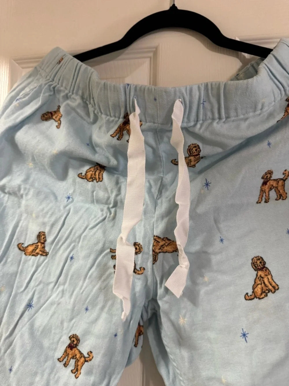 J. Crew Pale Blue Goldendoodle Lounge Pants - Picture 4 of 6